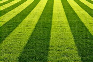 Precision Lawn Mowing Pattern
